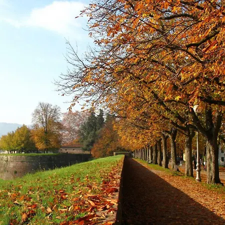Grespola 3* Lucca